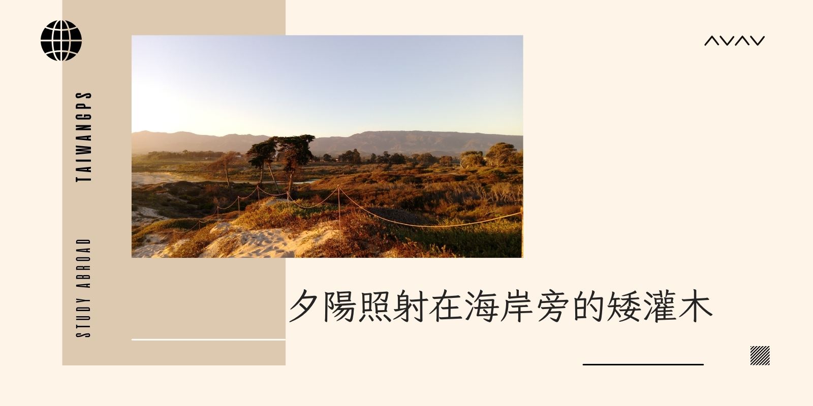 夕陽照射在海岸旁的矮灌木